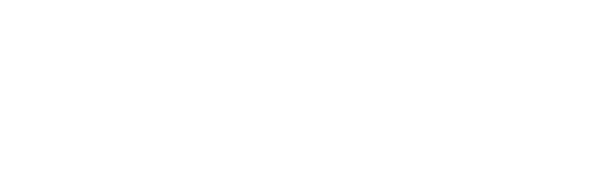 Inzight logo
